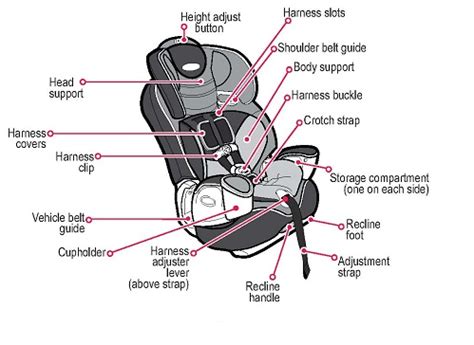 Child Car Seat Anatomy